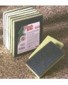SCOTCHBRITE 96 CON ESPONJA HIDROFILA 158X95MM VERDE (PAQUETE 12 UNIDS)