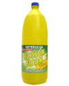 LEJÍA CON DETERGENTE PERFUMADA BLOSSOM BLOOM BOTELLA DE 2 LITROS